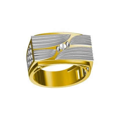 Bold Plate Gold Ring